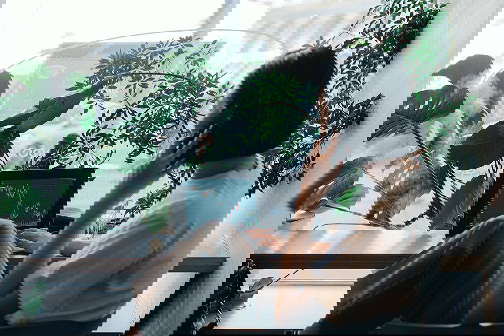 What is an Offshore Bond?