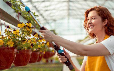 Reasons to Talk: Maximising Tax Allowances