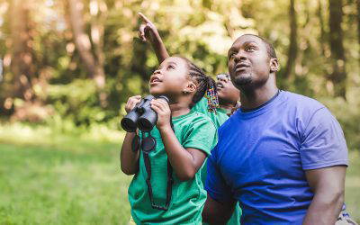 Essentially Wealth Q4 2023