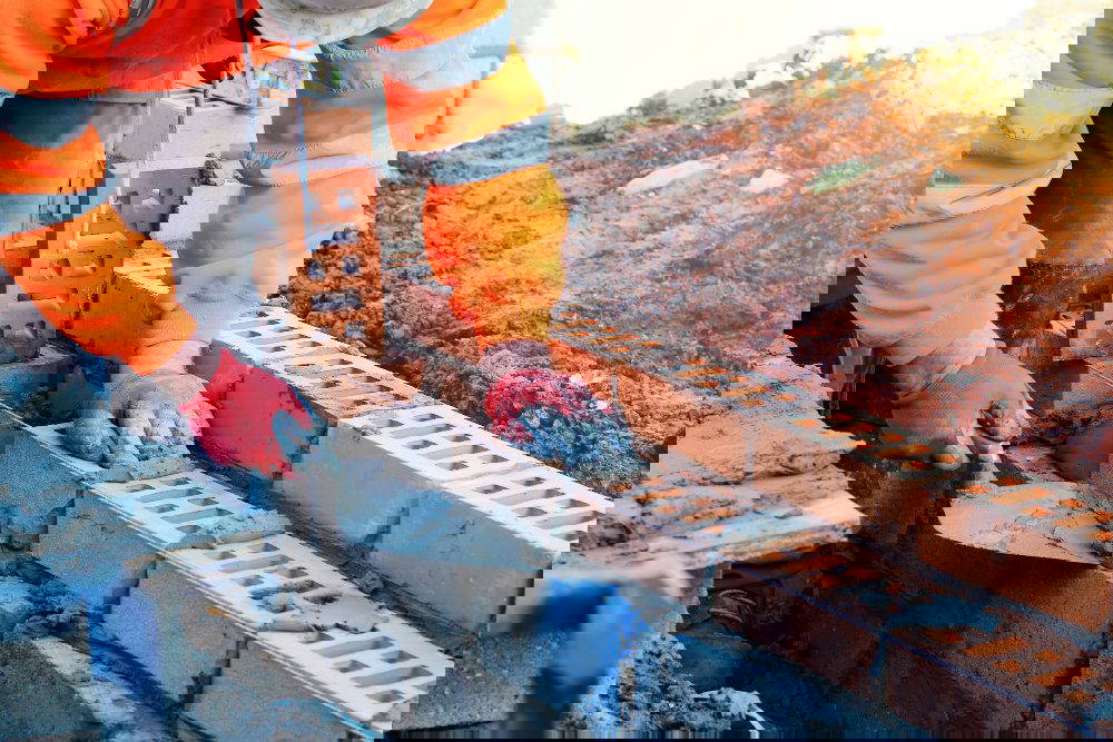 Investment market update: October 2024