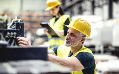 Investment market update: December 2024