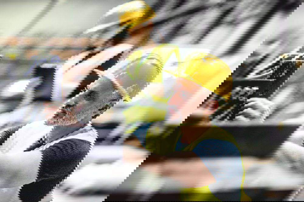 Investment market update: December 2024