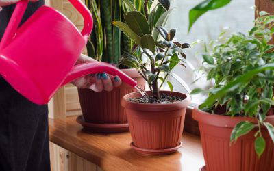 How to use an unexpected windfall to create long-term prosperity