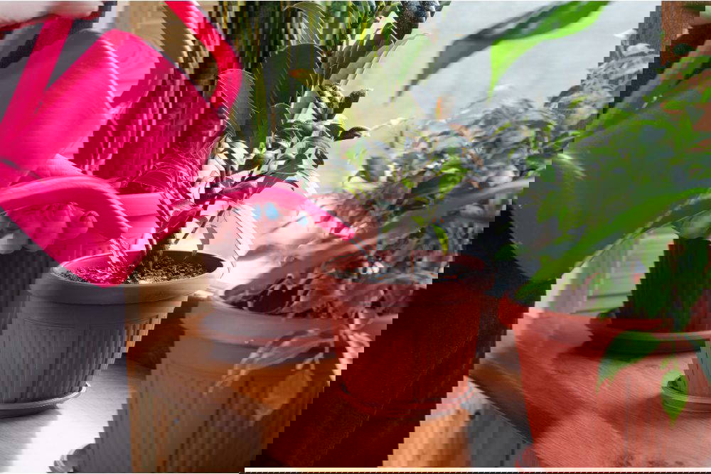 How to use an unexpected windfall to create long-term prosperity