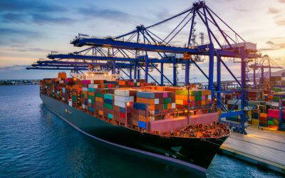 Investment market update: August 2025